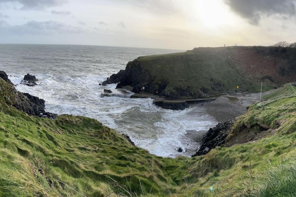 Glencree Air Apartman Kilmeaden Kültér fotó